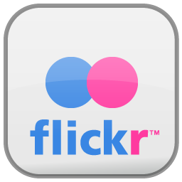 Flickr Icon